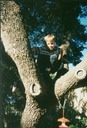 Adam up a tree