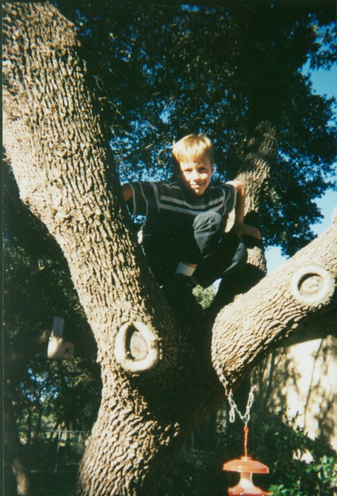 Adam up a tree