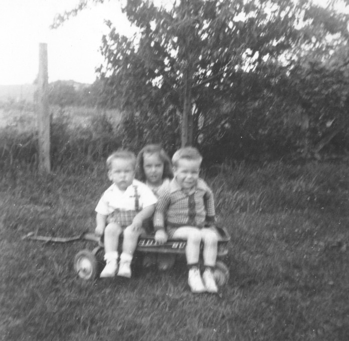 Mark, other and David in wagon